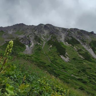 どれが槍ヶ岳なのか未だに分からず