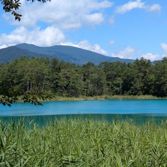 青沼からの吾妻連峰👀
訂正…弁天沼でした😭