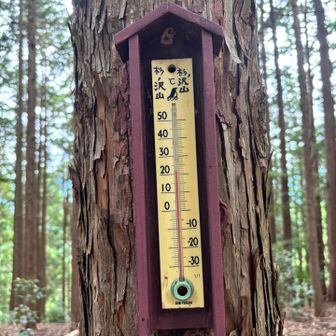 気温は22度ほど。
風が吹くと涼しいけど、歩くと汗かきました💦
