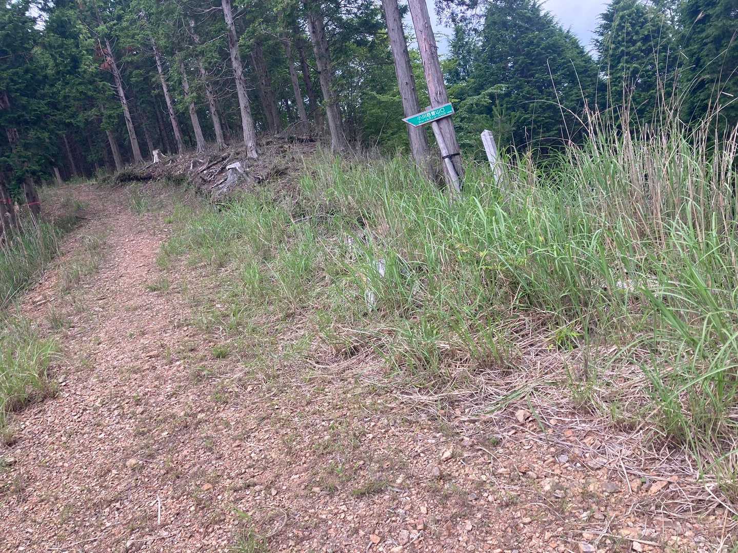 今日もお山をありがとうございました😊✨