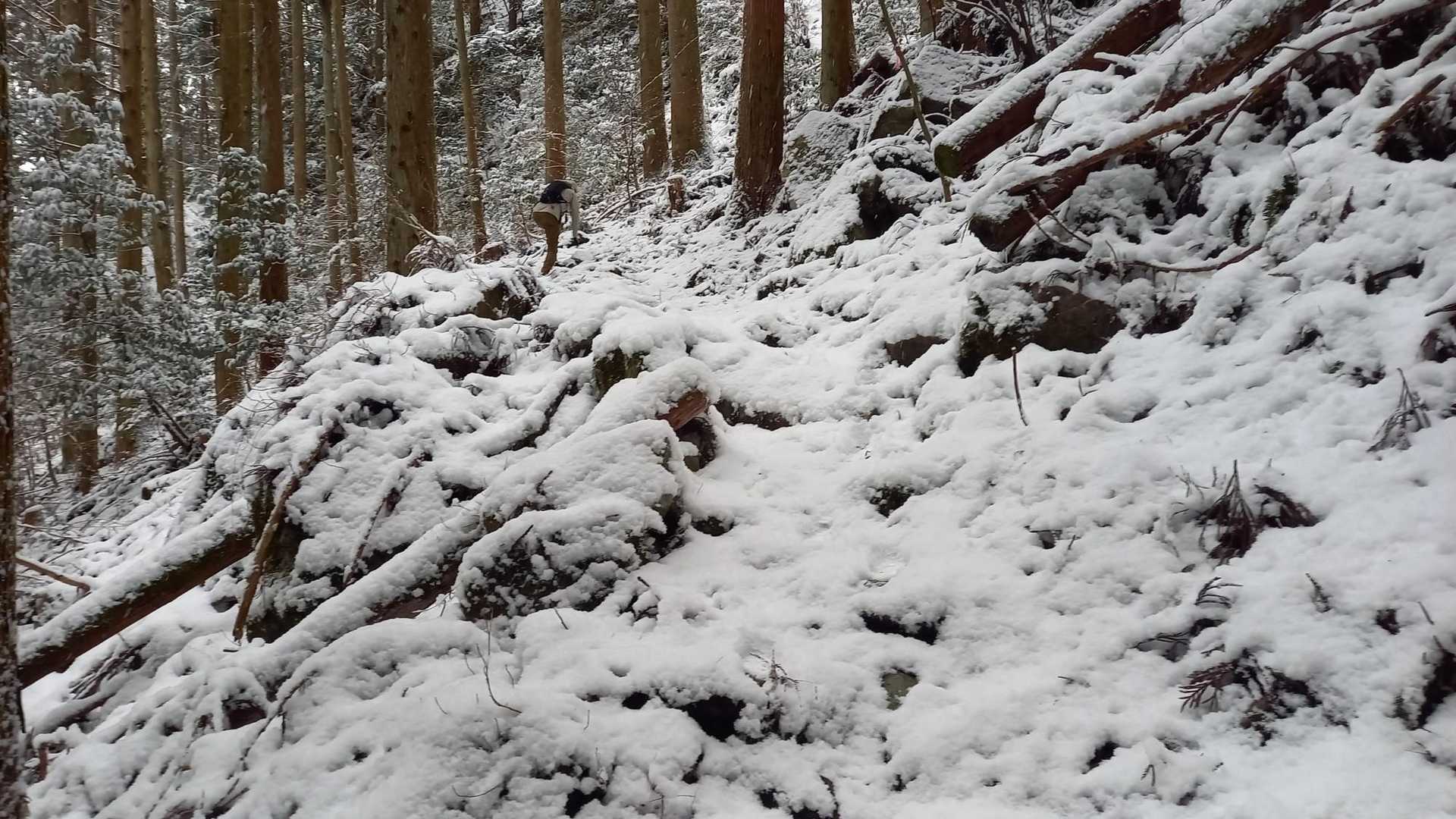 積雪が増えてきた。