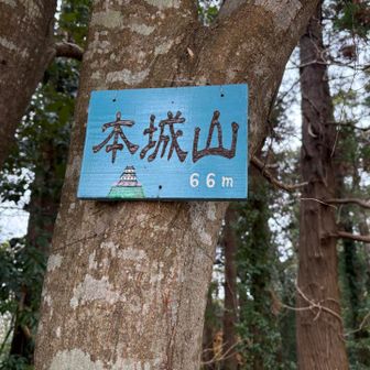 最初のピーク。グレーピークですが道は明瞭