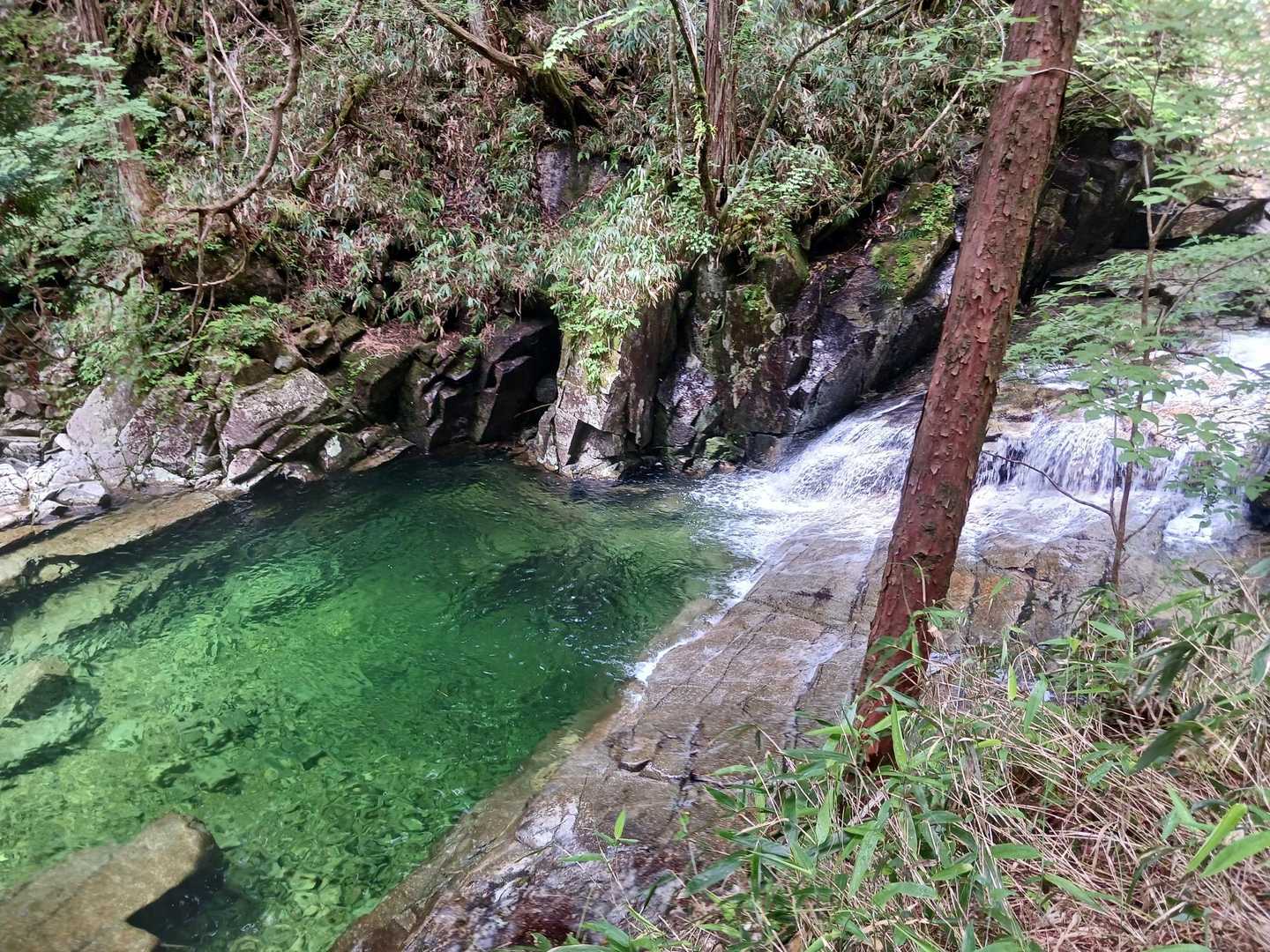 エメラルドグリーンが
とても綺麗な
丸淵