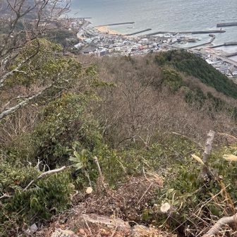 海🌊ってイイね