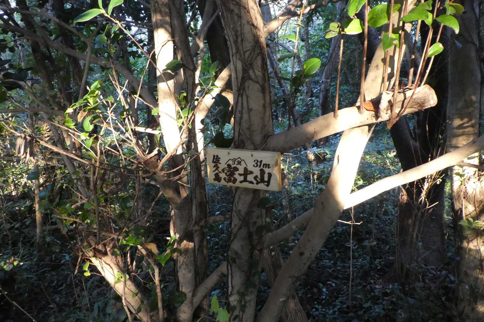 山頂標識がなかったので、新たに設置しました。