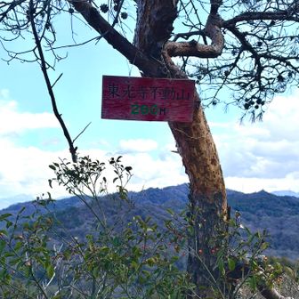 東光寺不動山⛰️