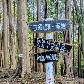 一気に降りて三方境分岐、ここで最後の休憩〜紅葉🍁の季節はこの先👉谷急山にも行く🍁