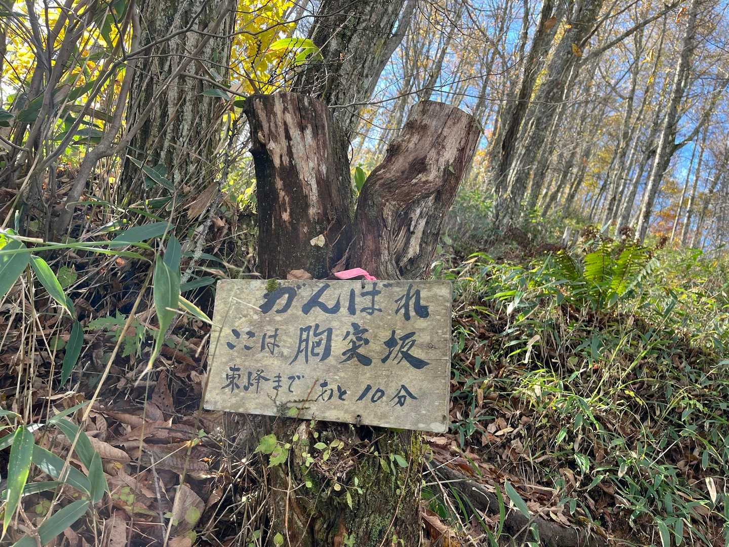 励ましの手作り看板が嬉しい