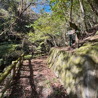 登山口