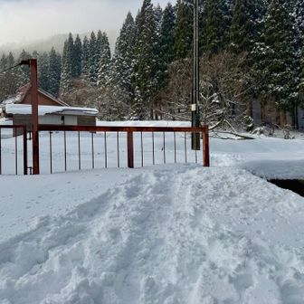 スキー場のヘェンスの横にから入ります！
今はまだ休業中みたいです