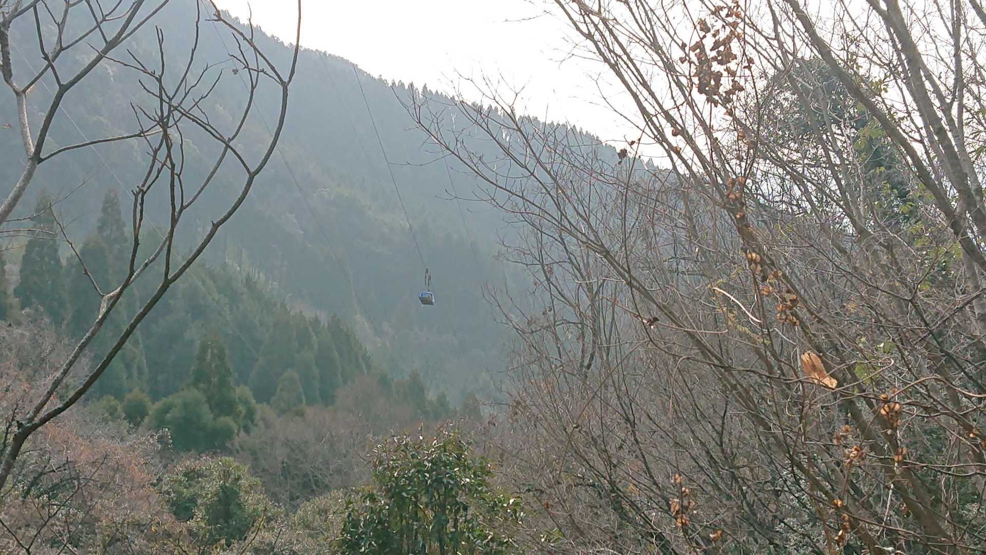 モノレール！神社への荷物を上げ下ろししていました✨