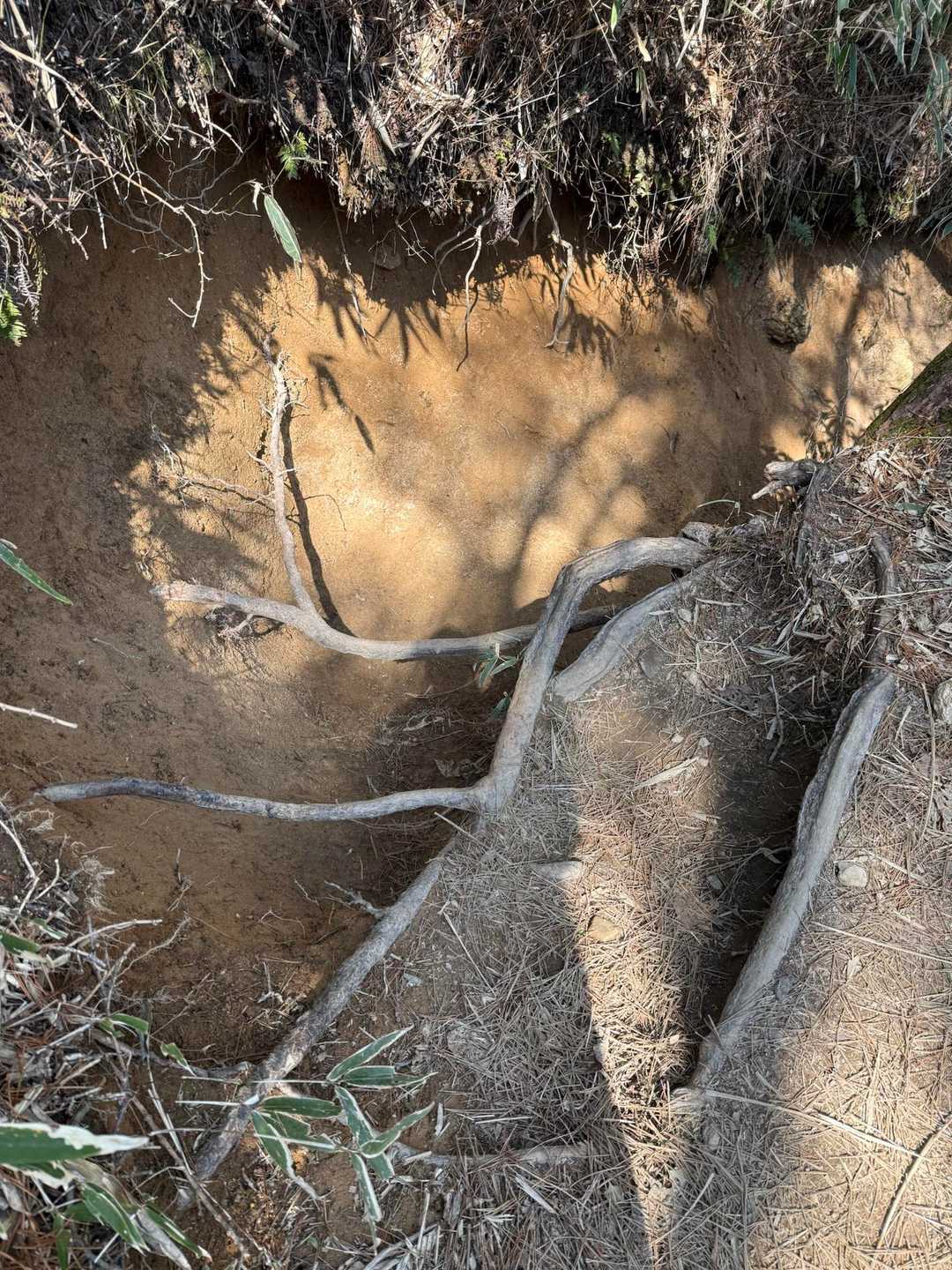 ここも六甲山全山縦走時には、怖いポイントです💦
