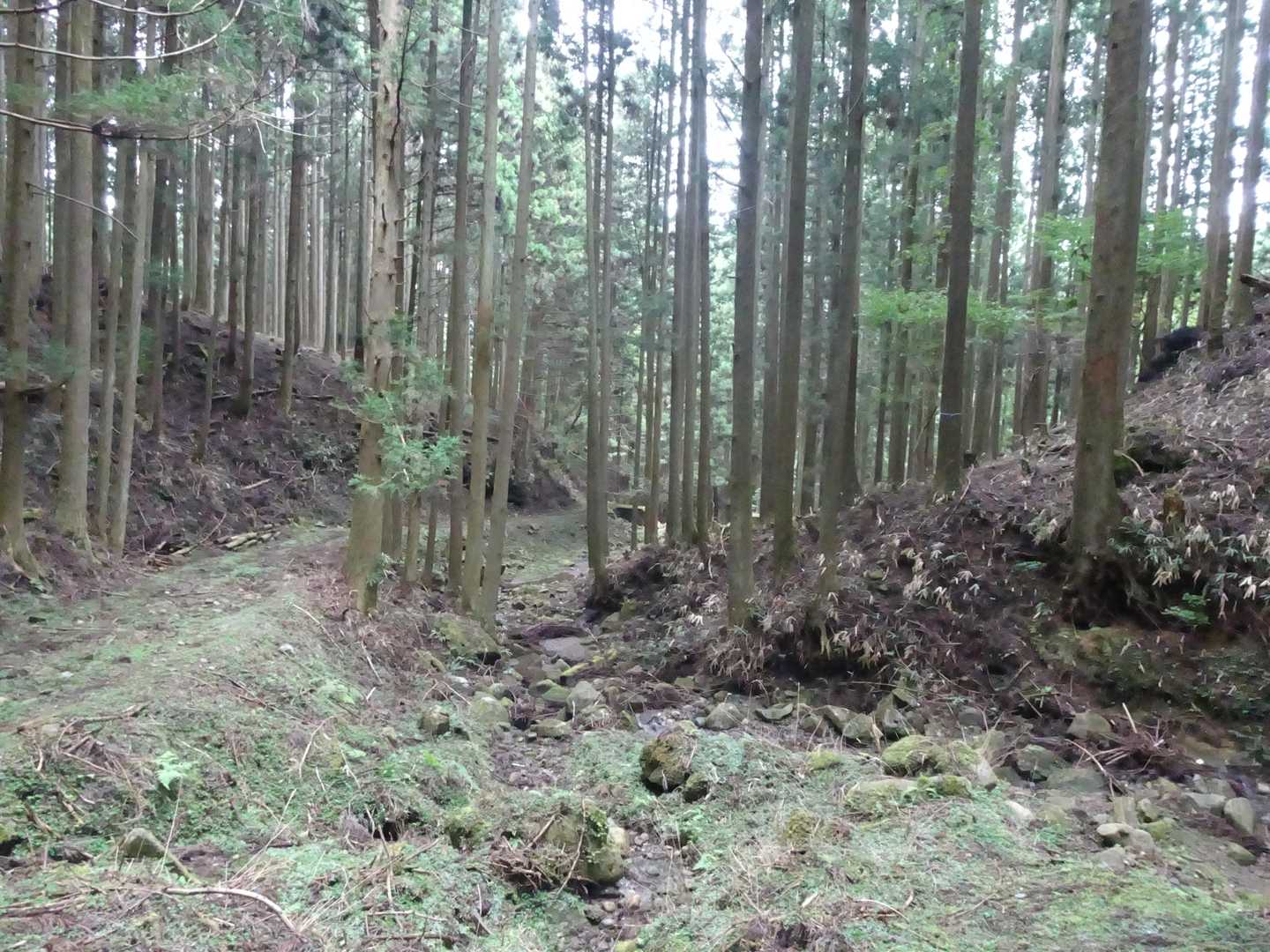 尼ヶ岳 往復コースの写真