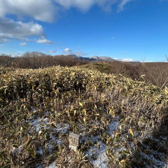 頂上は、こんな感じ。