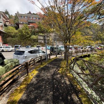 下山後の駐車場は車で埋め尽くされていた
