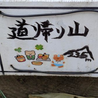 今日9座目のお山(⁠•⁠‿⁠•⁠)