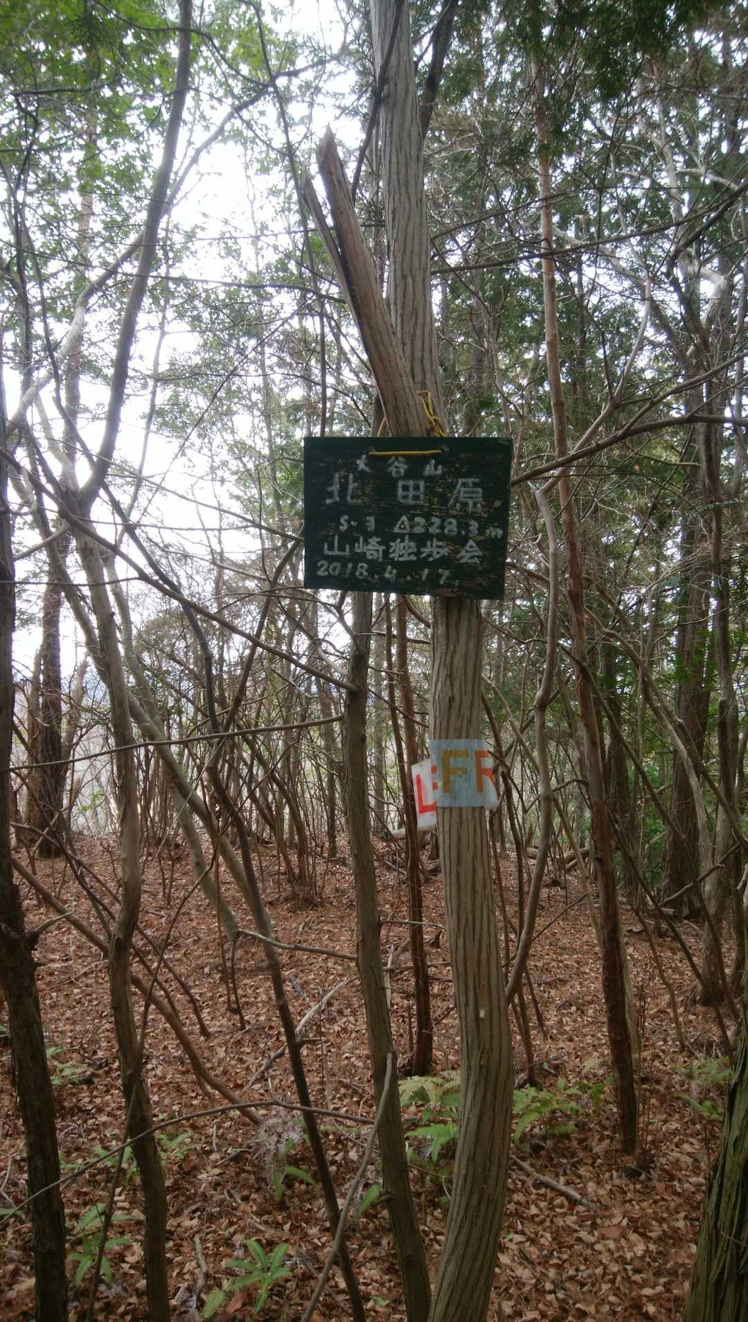 大谷山山頂