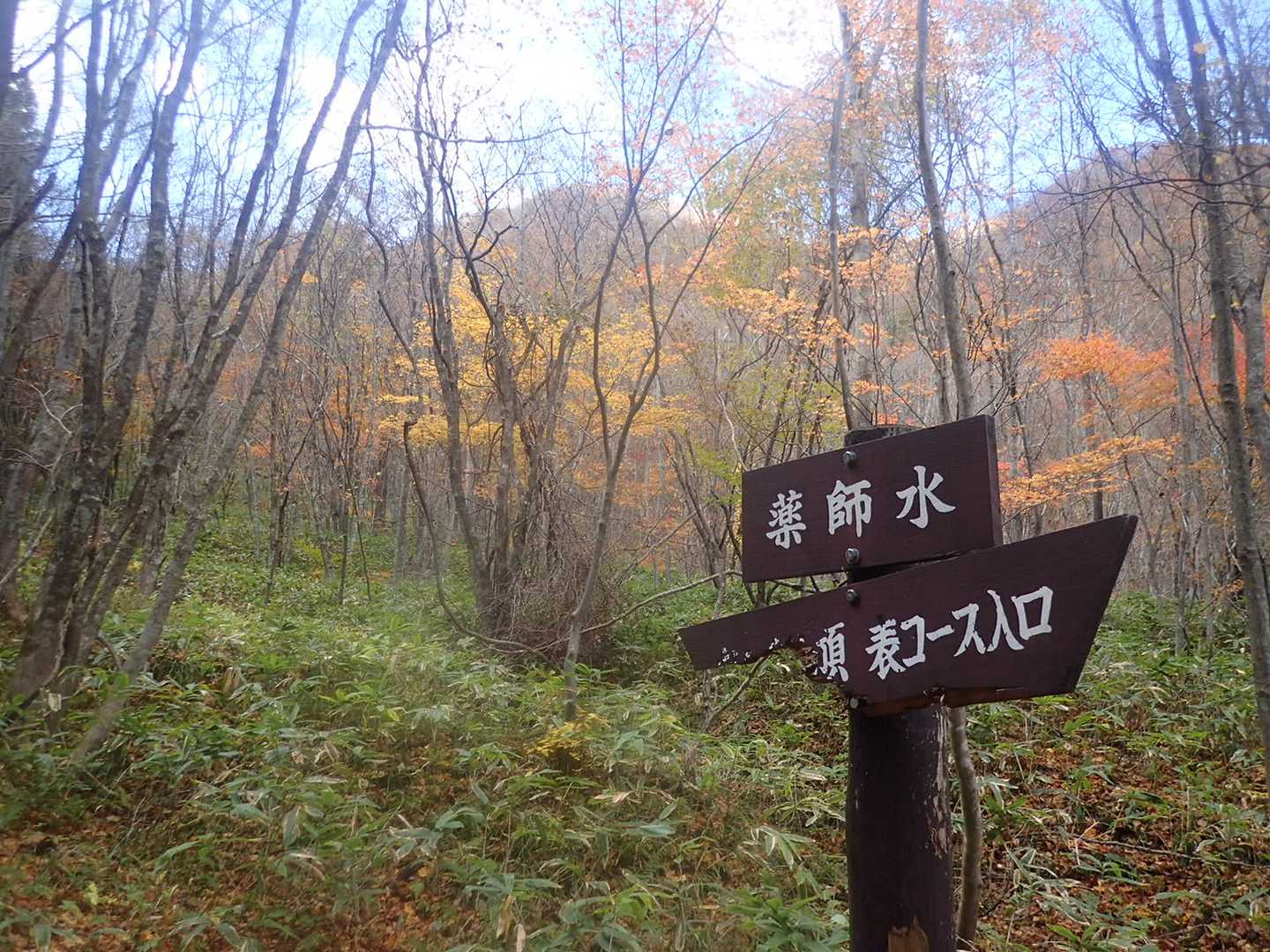 泉ヶ岳表コース山口-泉ヶ岳 往復コースの写真