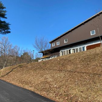 まるで春です☘️