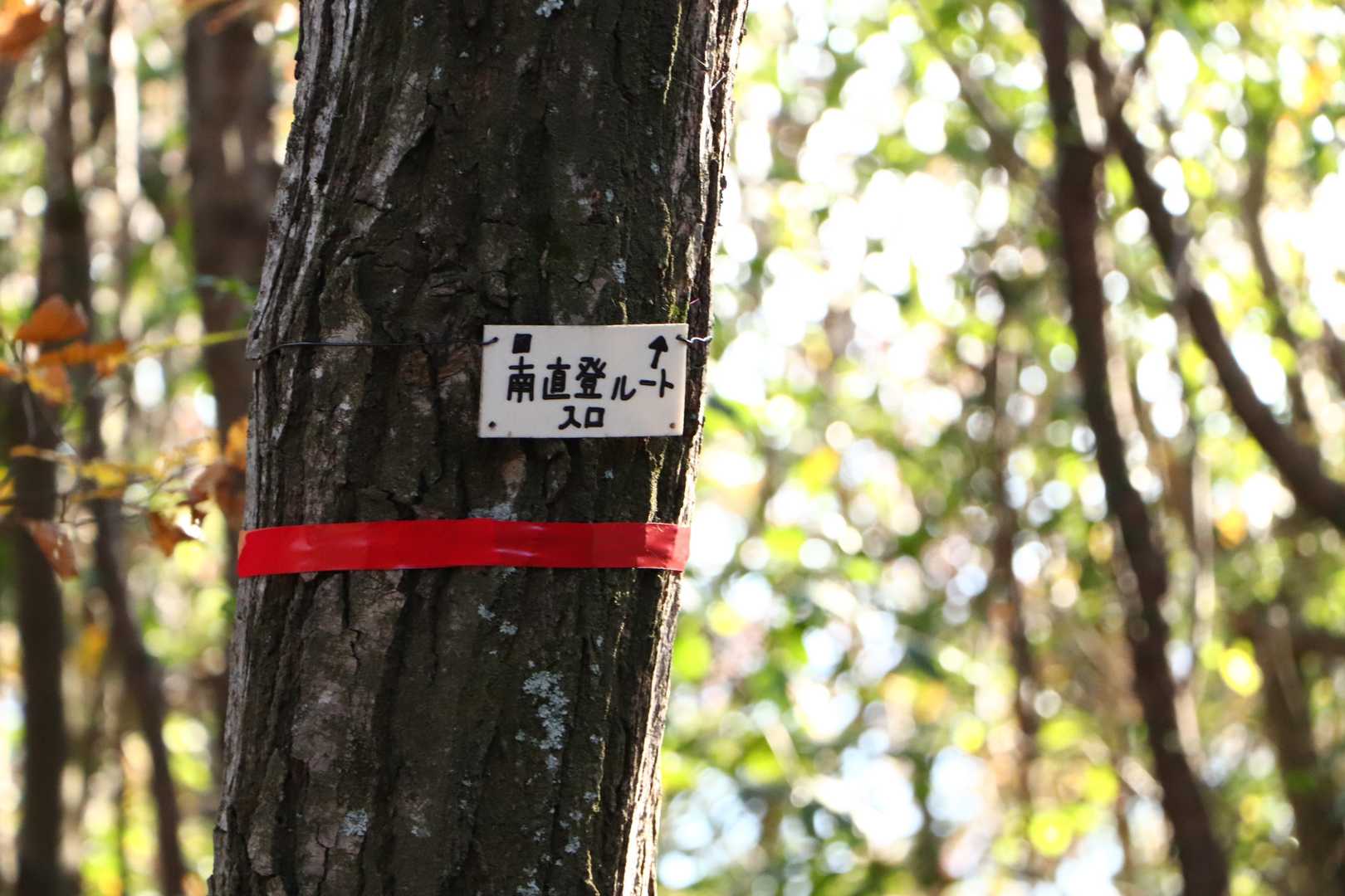 南直登ルートは、ヤマップではあまり歩く人の居ないルートとなっている(赤線が細い)が、こっちで降りることに