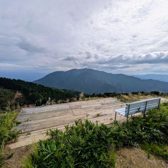 ベンチに人の気配無し