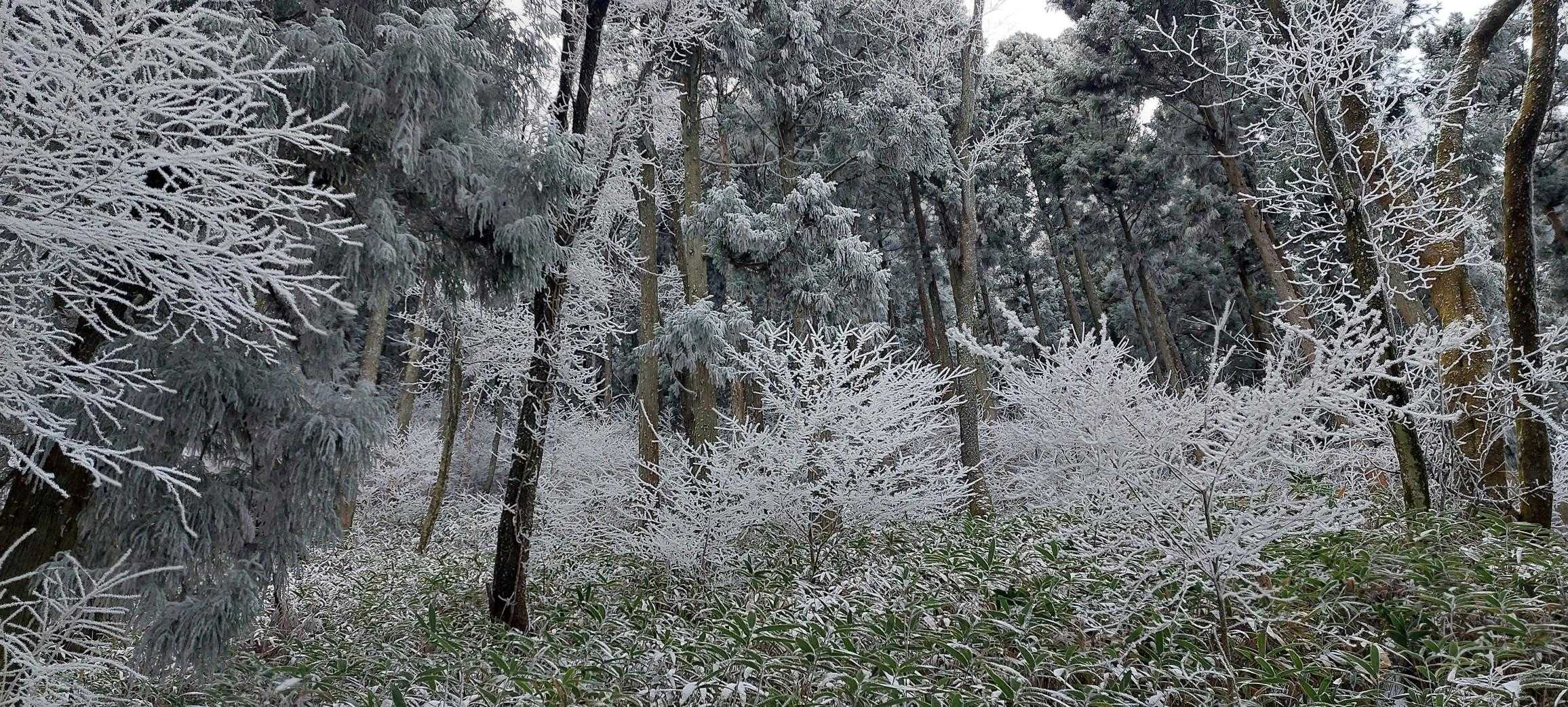 ここもきれかった❄