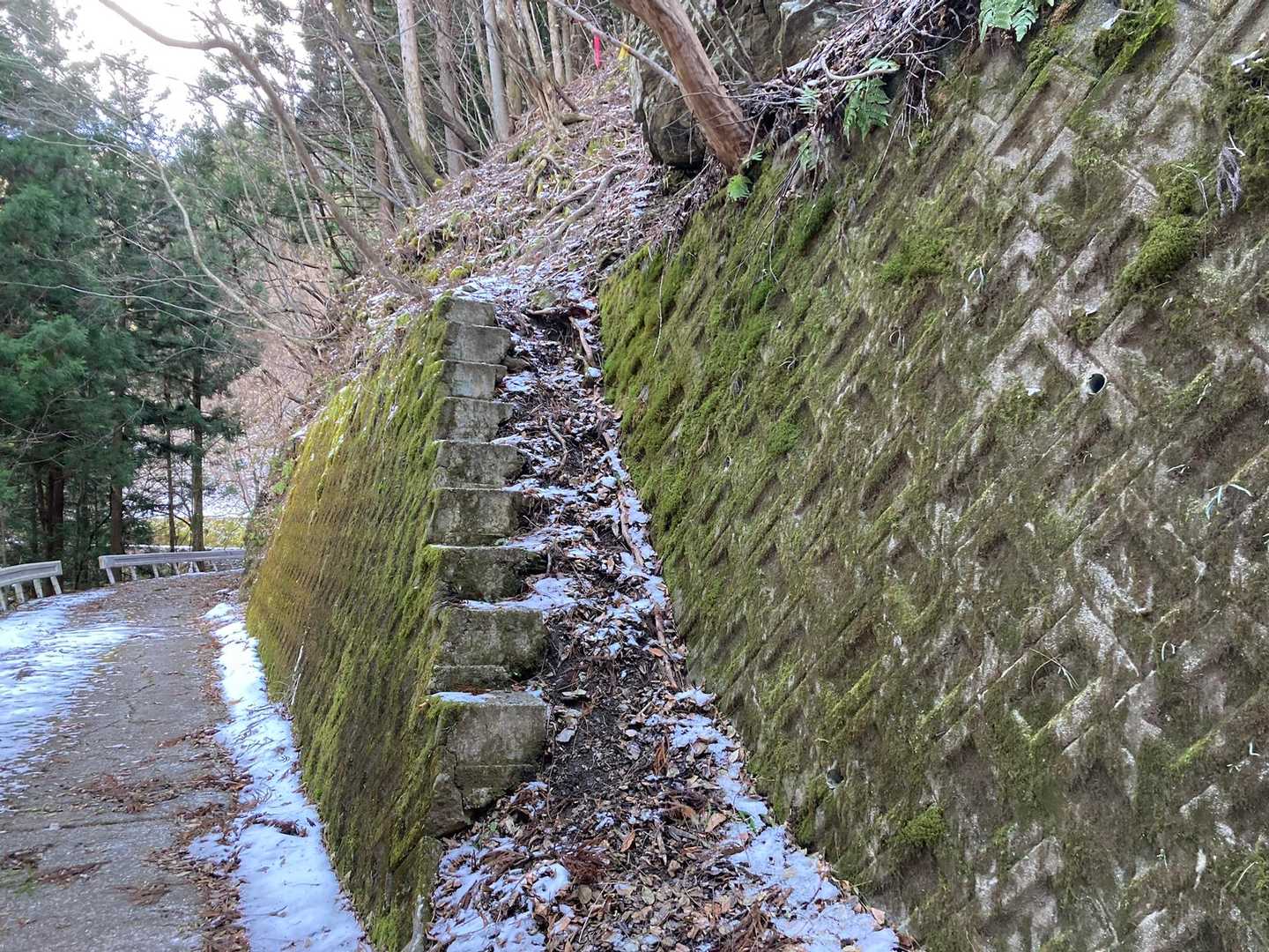 登山口入り口に帰ってきました。
全工程通して、ここの急登が一番の危険箇所かな。注意必要です。