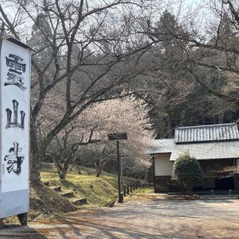 綺麗なトイレがあります🚻