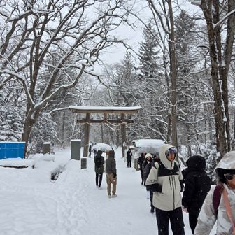 風は殆どなし
雪はずっと降ってます