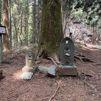 ビリ堂（標高594）  通過

馬頭観音・石碑

安全登山🙏
