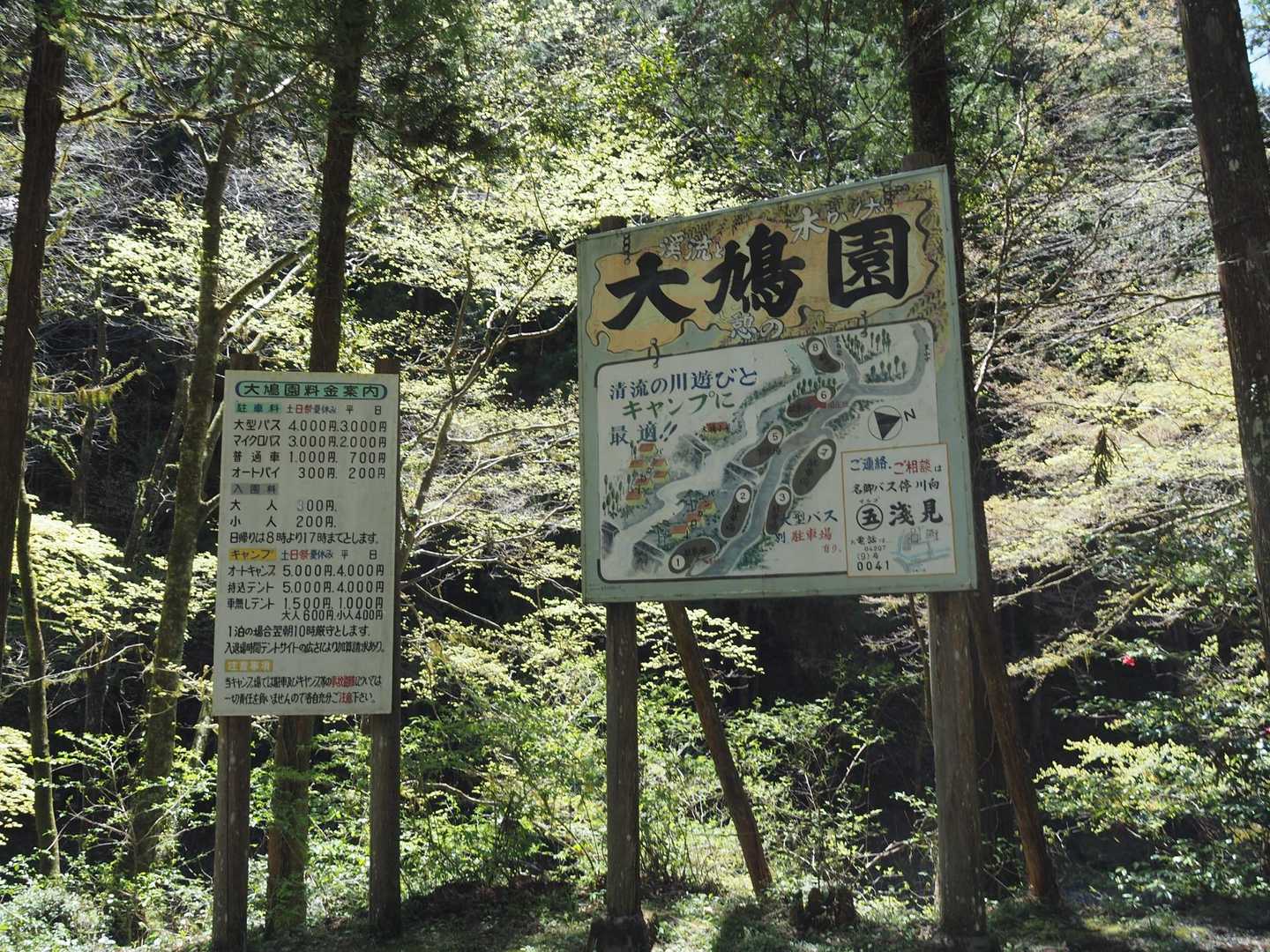 ふむふむ