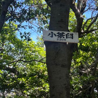 ここでもないです。