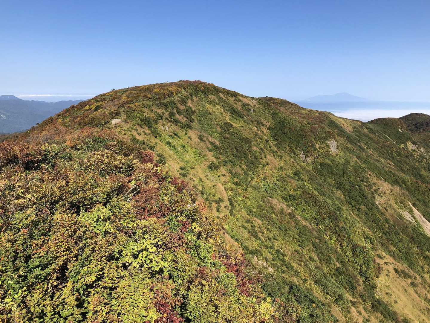 はい、ここが葉山のピーク、その向こうが奥の院