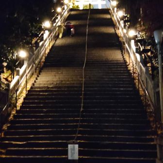 ここの下りでコケたらタダでは済まない…😇写真中ほどの人(結構ガタイのいい外人さん)と階段全体との対比をみていただくと、まーまー長い直登であるのがわかってもらえると思います💦