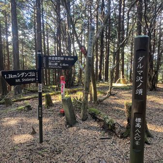 別名ダルマ沢ノ頭