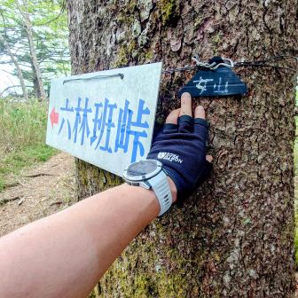 おまけの女山（おんなやま）
標高:1,836m
💡小さな名板だが嬉しい😄💡