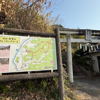 無事に下山🙏  途中の分岐でわかれた方も無事に下山され手を振り帰路へ👋 