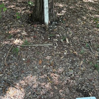 八事裏山山頂　三角点　眺望なし