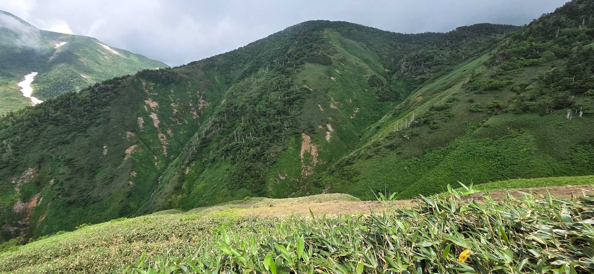 別当出合登山口-油坂ノ頭-別山 往復コースの写真