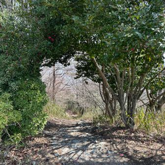 下山へ向かいます