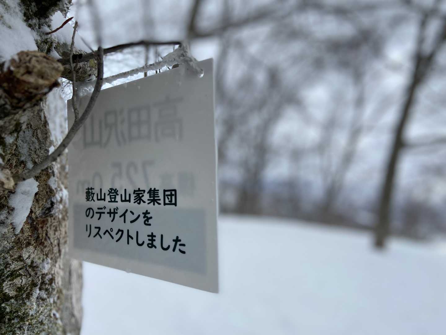 高田沢山頂のプレート裏。素敵です。