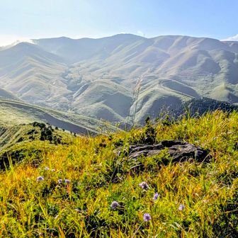 一ノ峯山頂のお花畑✨
ザックを置いて休憩☺️
とかしてるとお喋りが止まらない