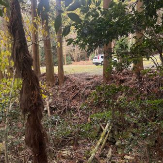 おっと！素晴らしい👍一発で真裏に出ました‼️
これが地図読みの快感✨
てか、紙地図ではなくYAMAPなんだけどね😅