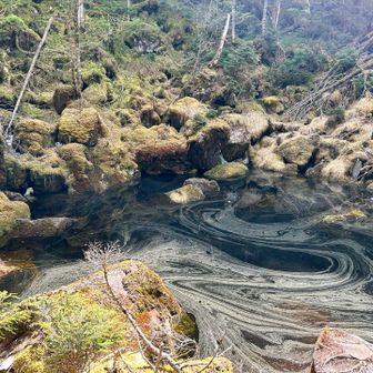 地獄谷に到着🐶🙌水が溜まってる😳‼️
ここは噴火口です🌋
明瞭な火口地形を残していることから、新しい時代の火口だと思われます🤔
素晴らしく神秘的で絶景なのは間違いないのですが、とてつもない不気味さも感じました😨
吸い込まれそぉ🐶🌀
