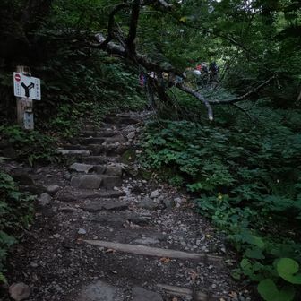 最初は急登です