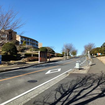 バス停で降りて歩き始め、後ろを振り返ったところ