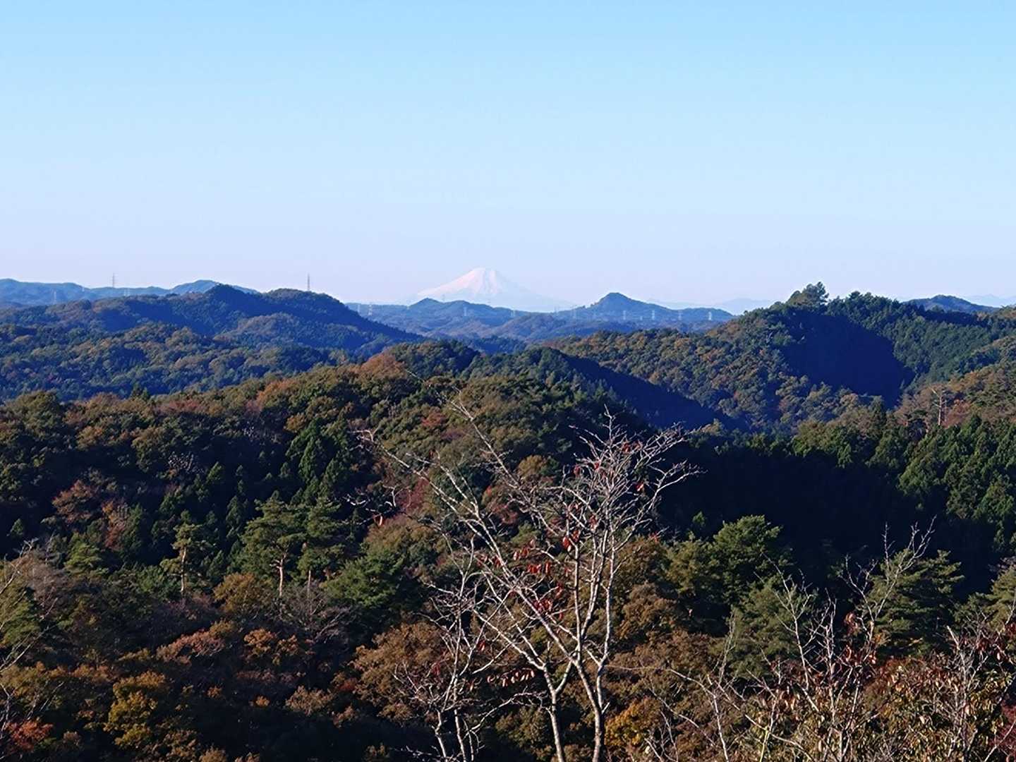 バッチリ富士山