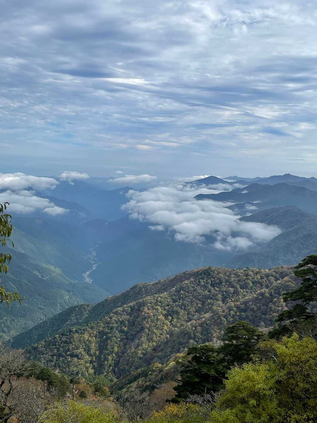 剣山 往復コースの写真