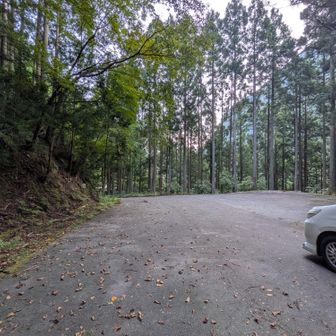 林道の終着点。これはバッグで駐車した状態。７～８台駐車可能。登山客少なく、満車はなさそう？