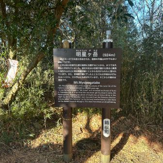 明星ヶ岳到着！
言われなければ通り過ぎてしまうような、奥まったところに山頂標識😅
